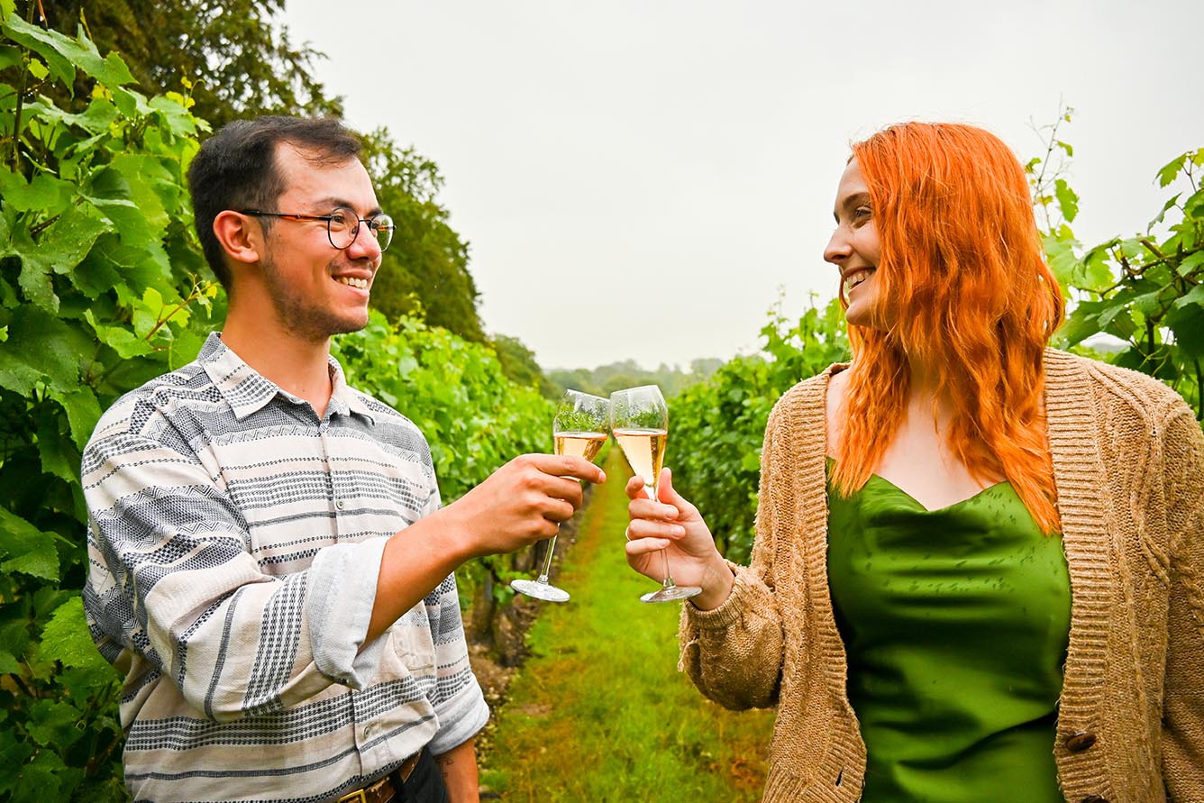 Choose Canterbury for wine production, the place where English wine sparkles